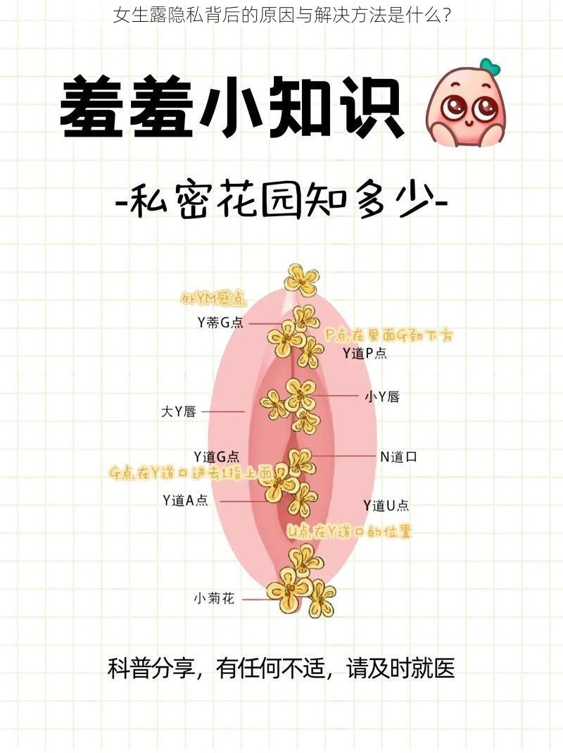女生露隐私背后的原因与解决方法是什么?
