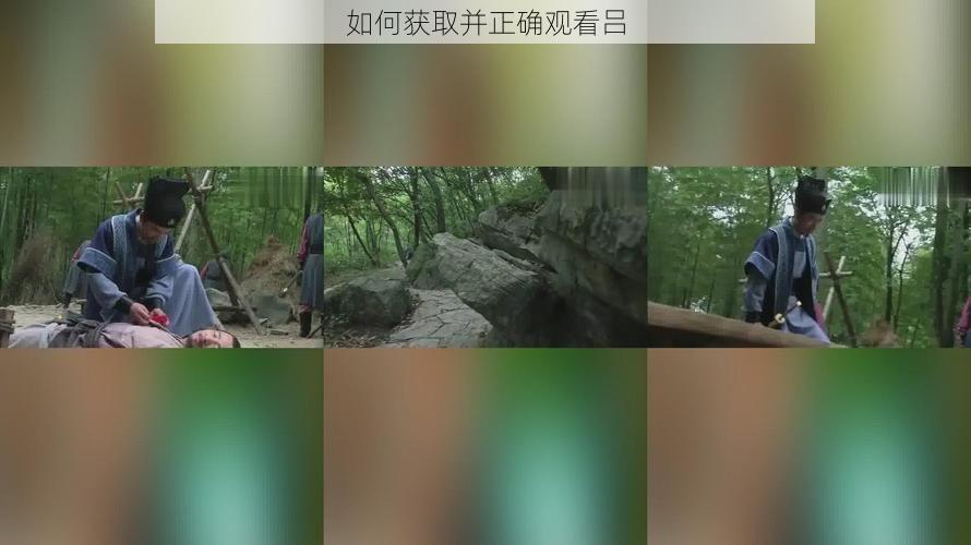 如何获取并正确观看吕