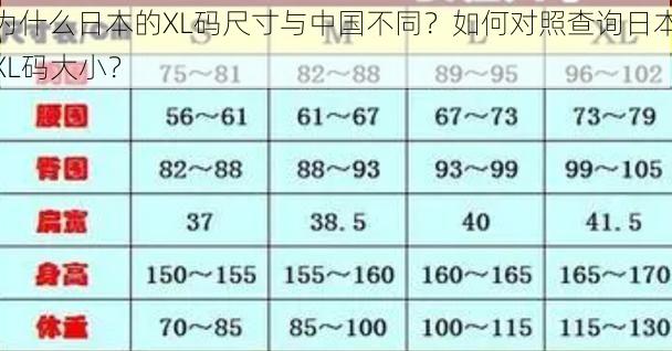 为什么日本的XL码尺寸与中国不同?如何对照查询日本XL码大小?